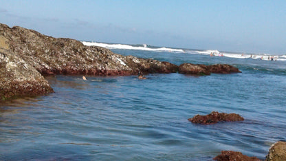 Leisure Bay Beach