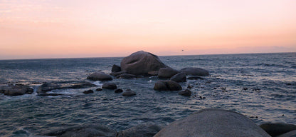 Miller’s Point Tidal Pool