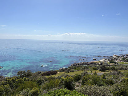 Miller’s Point Tidal Pool