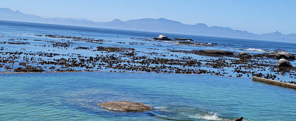 Miller’s Point Tidal Pool