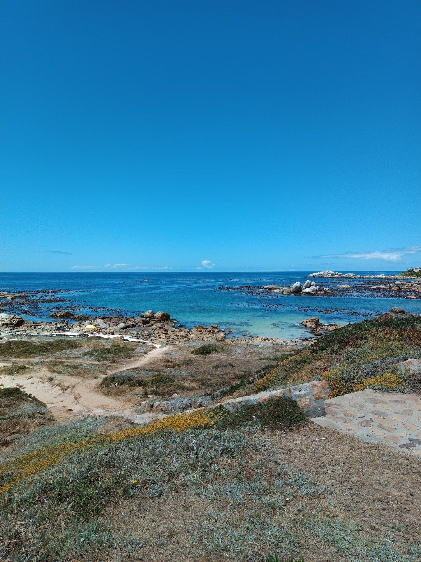 Miller’s Point Tidal Pool