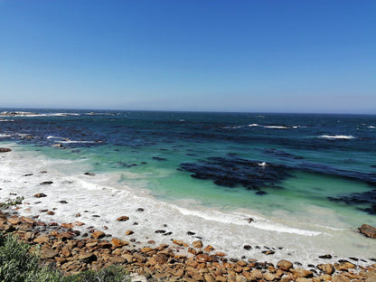 Miller’s Point Tidal Pool