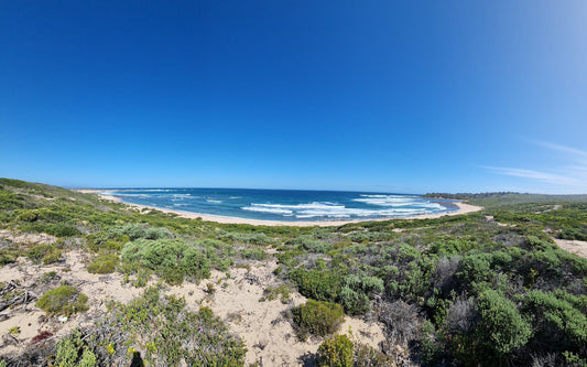 Shelly Beach