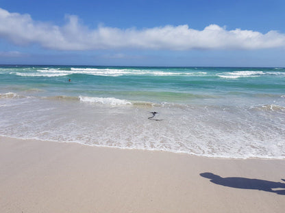 Silver Sands Beach