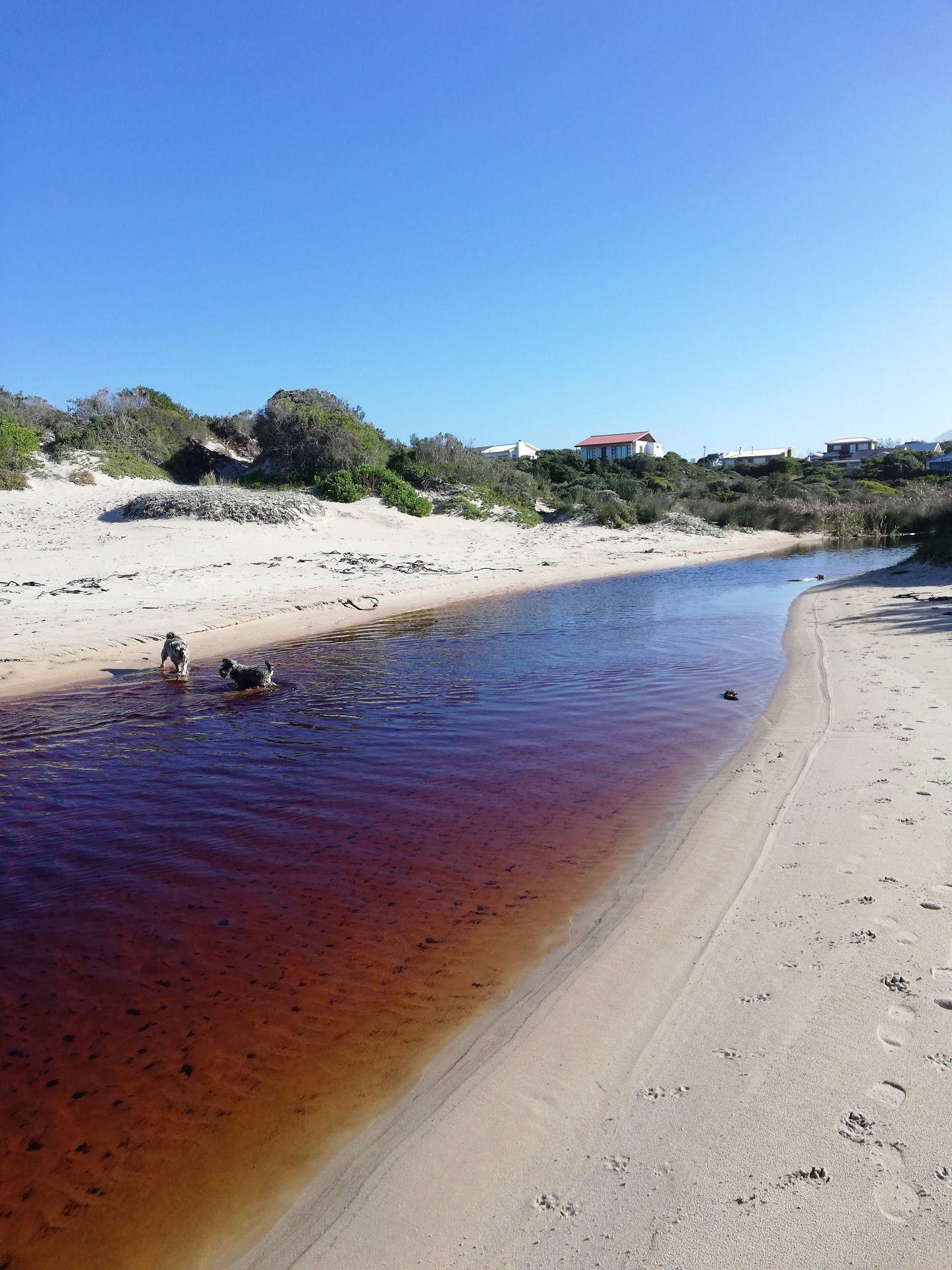 Silver Sands Beach