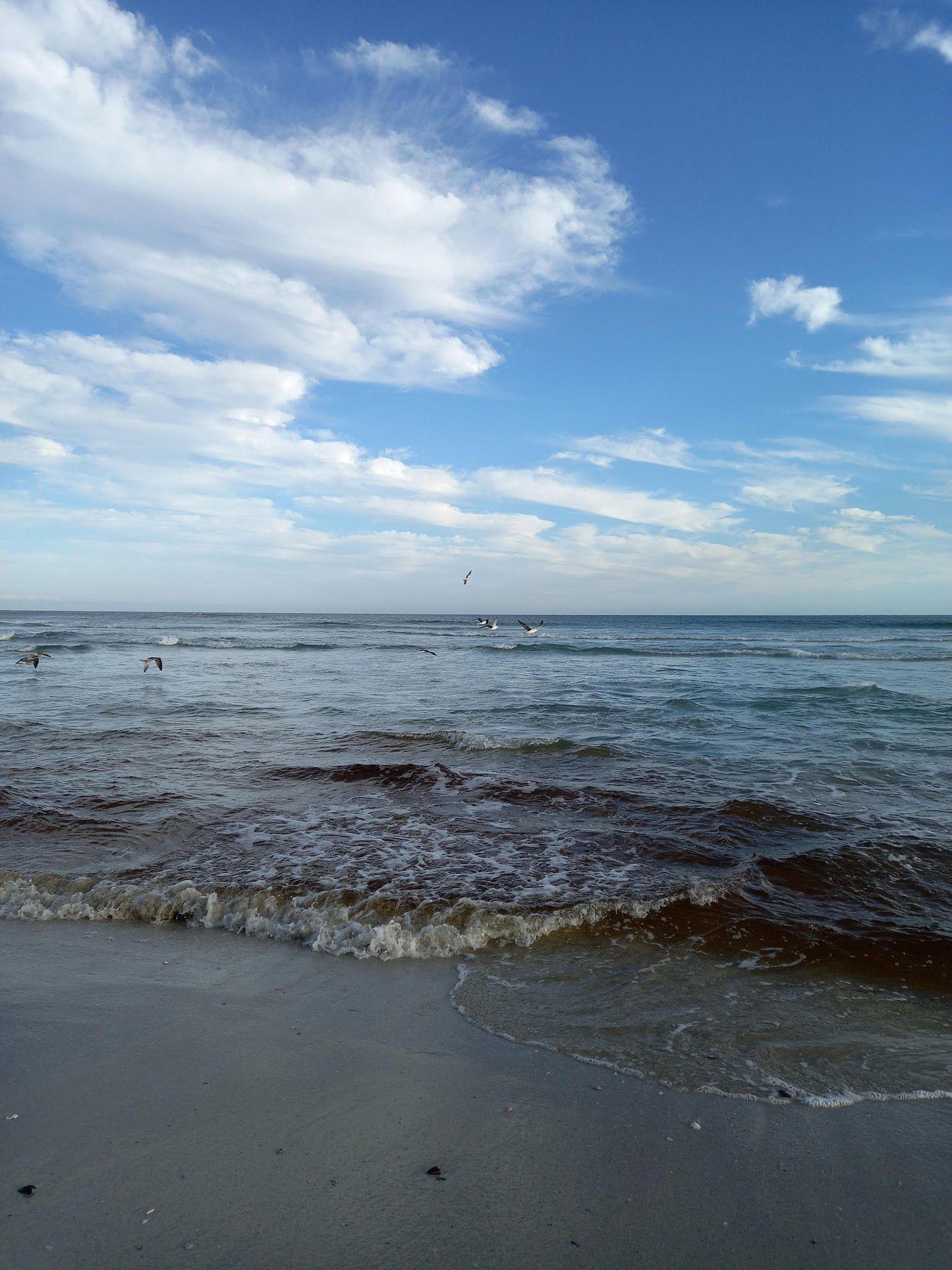 Silver Sands Beach