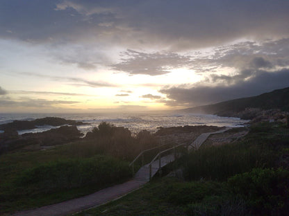 Oysterbay Beach