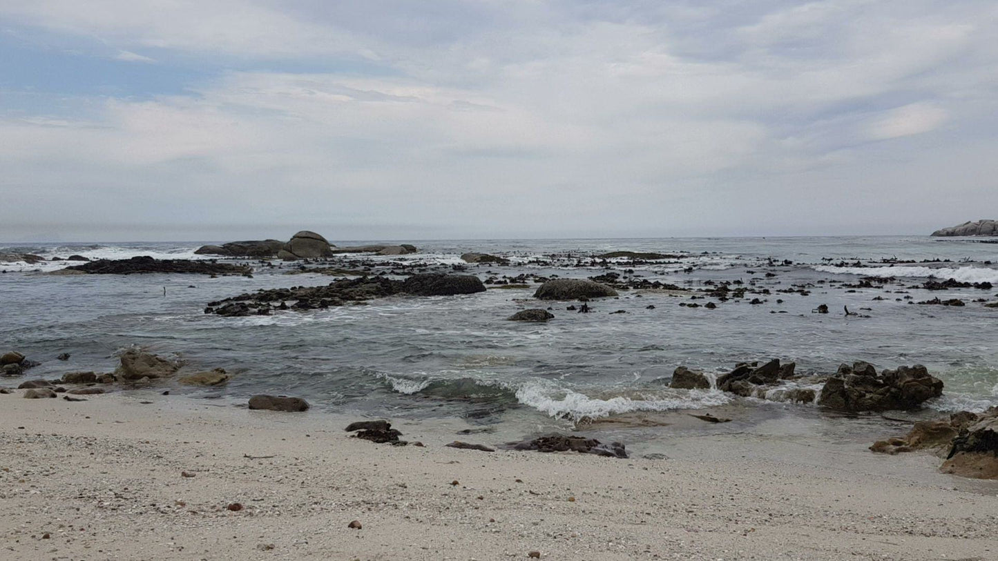 Miller’s Point Tidal Pool