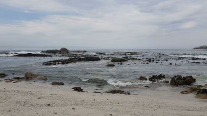 Miller’s Point Tidal Pool