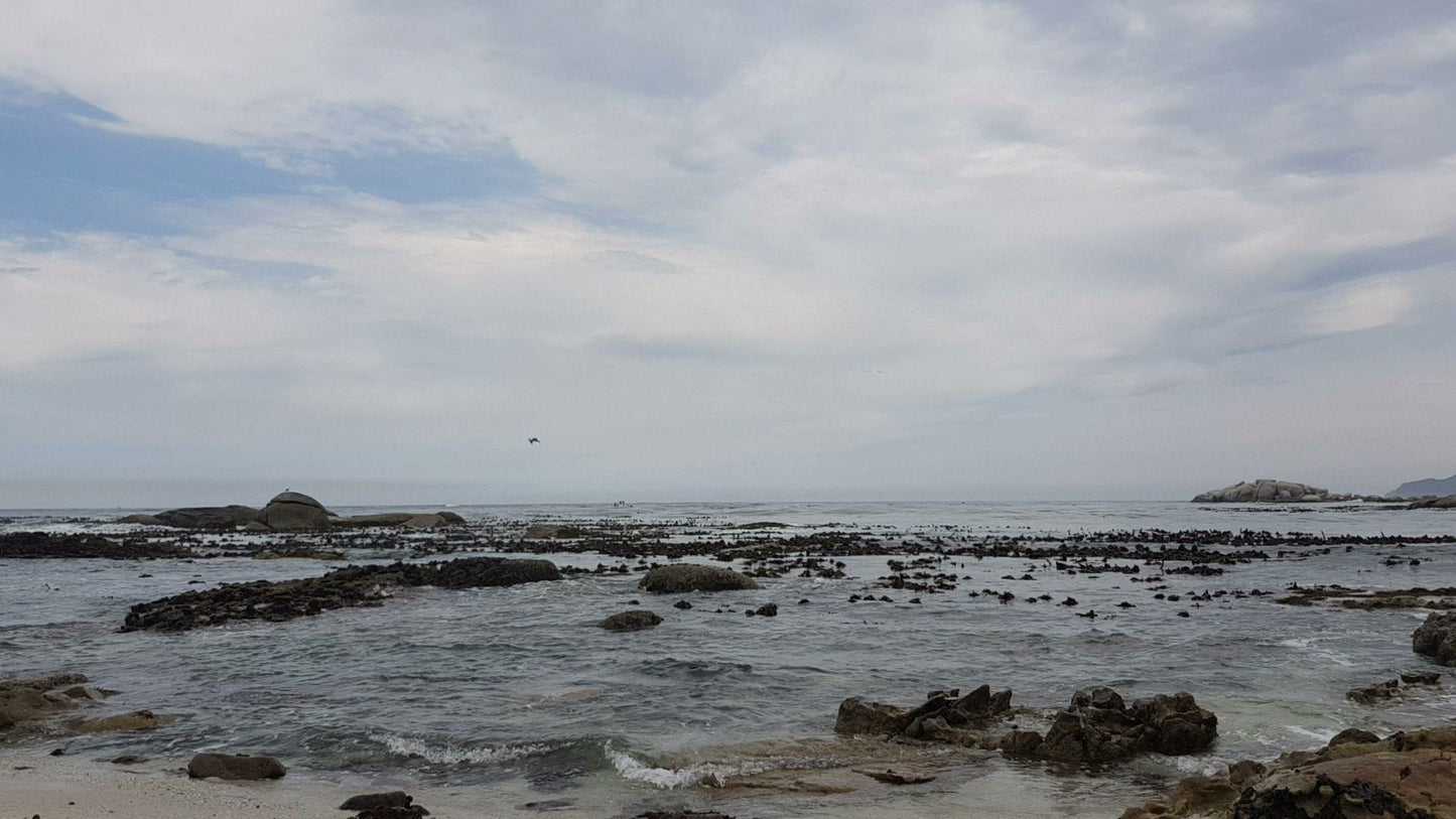 Miller’s Point Tidal Pool