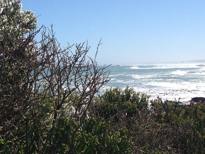 Stoney/Pebble Beach