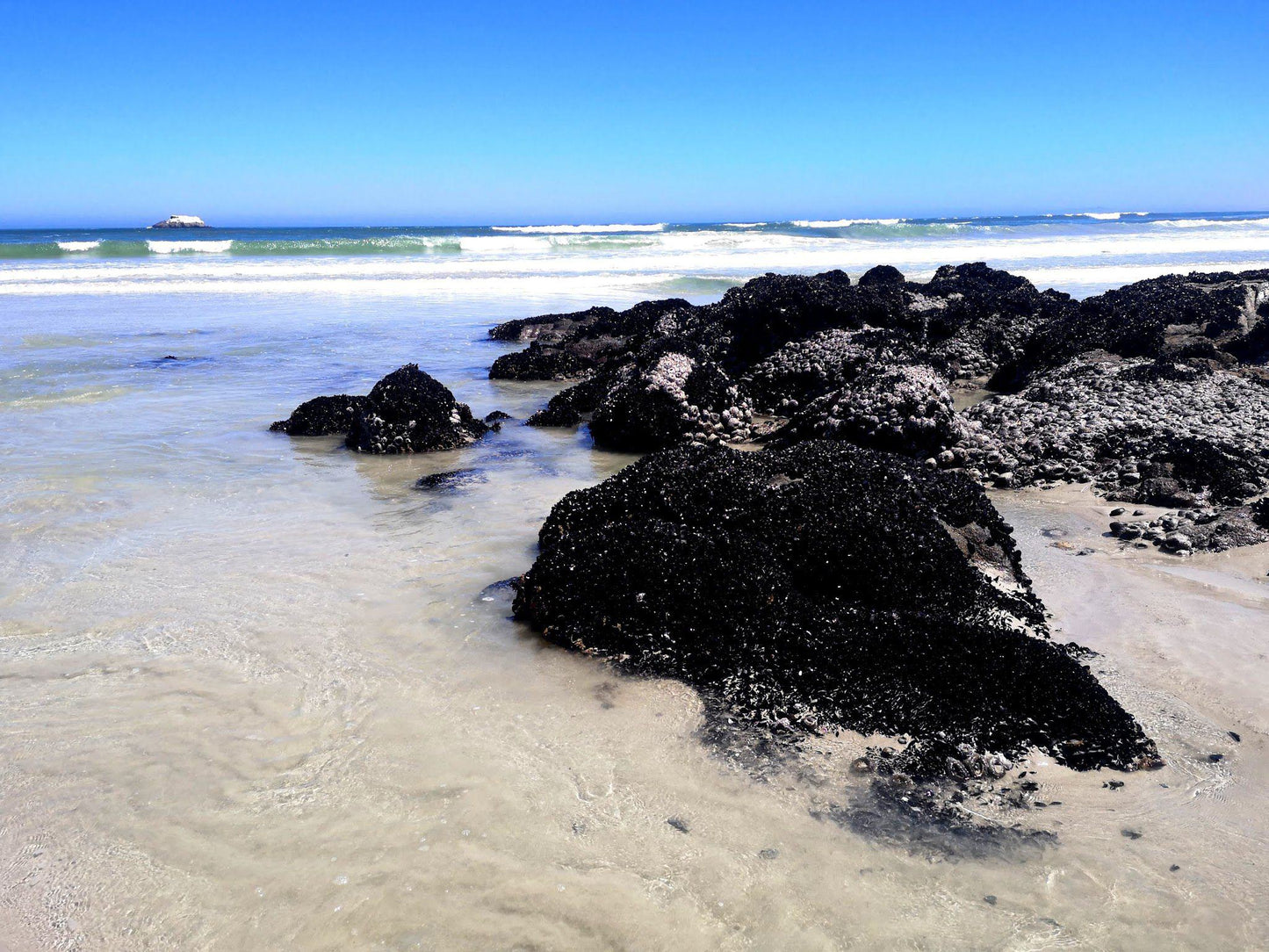 Yzerfontein Beach