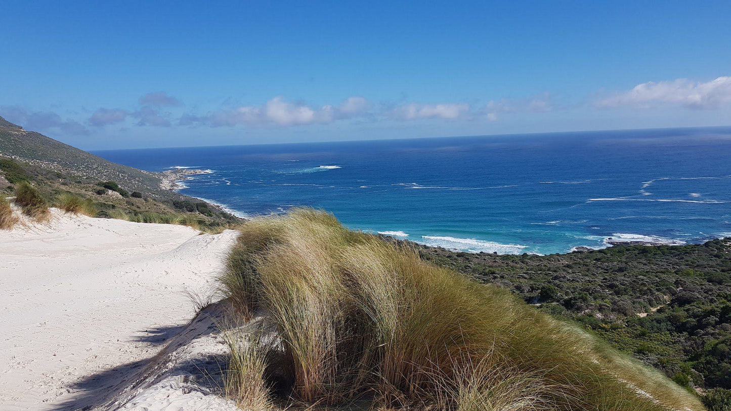 Sandy Bay, Cape Town