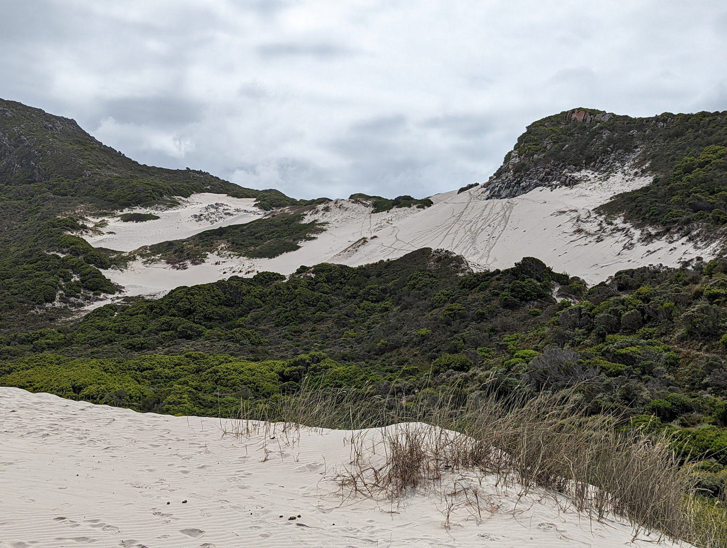 Silver Sands Beach