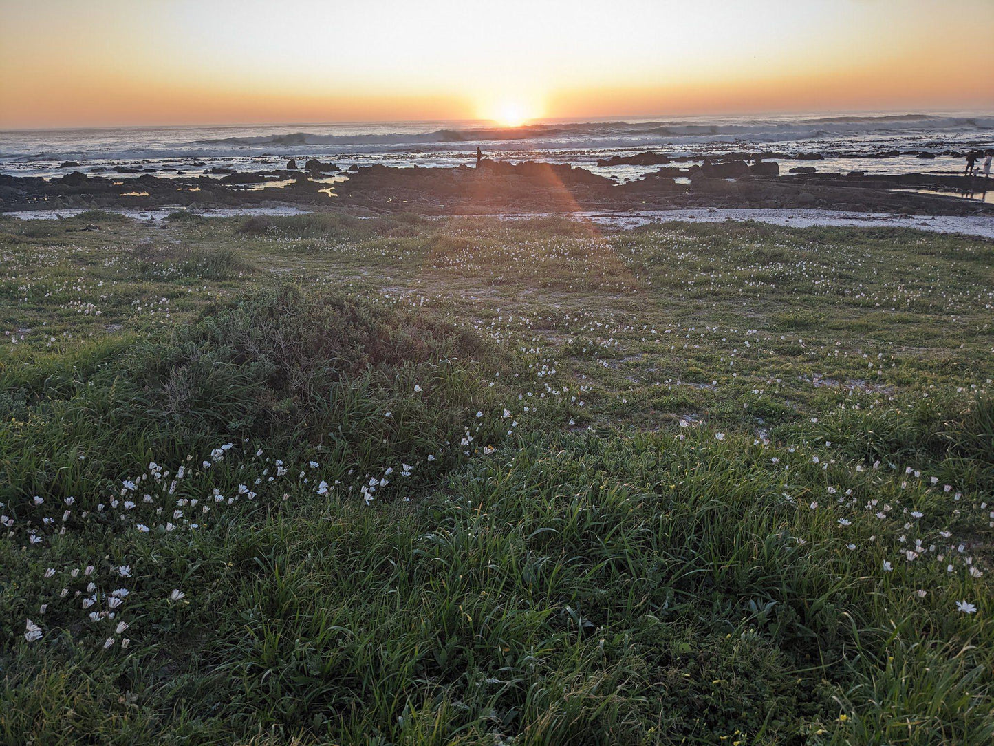 Table Mountain view