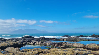 Table Mountain view