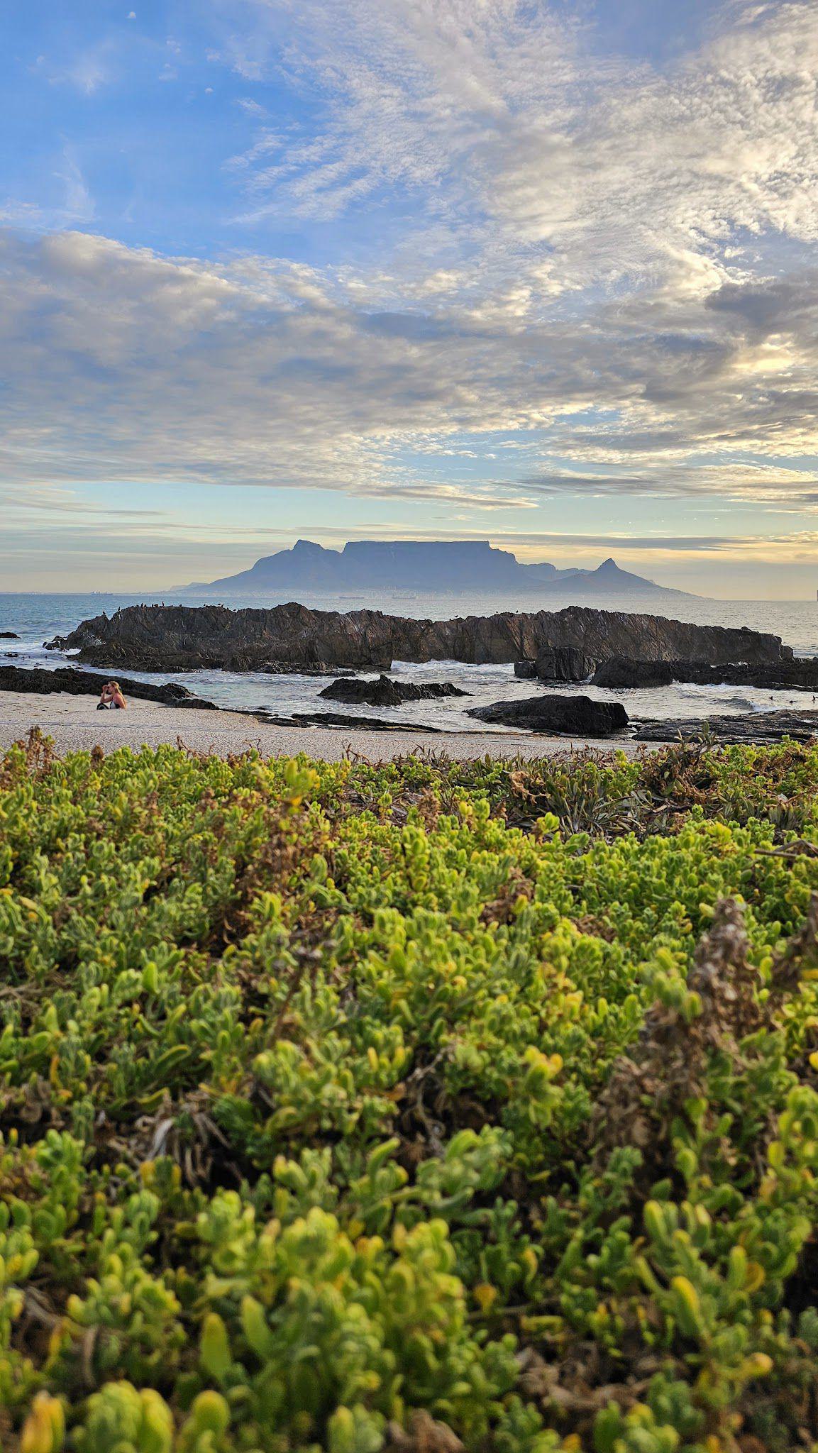 Table Mountain view