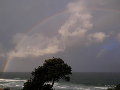 Anstey's Beach