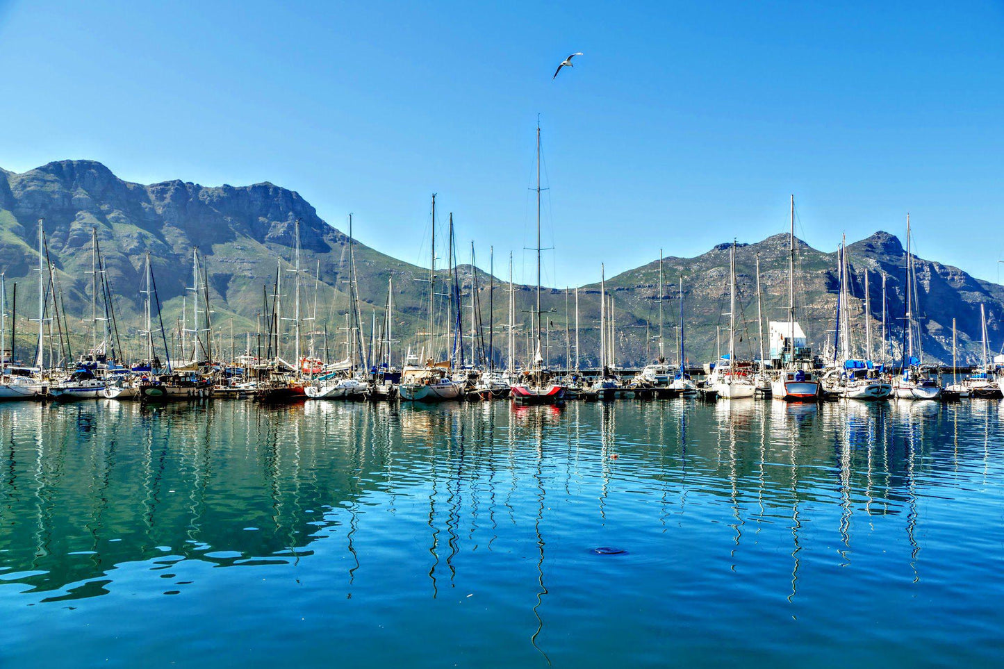 Hout Bay Beach