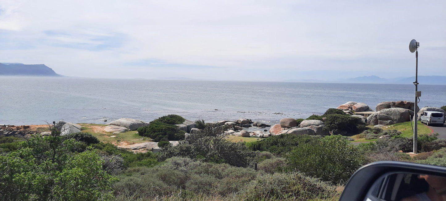 Miller’s Point Tidal Pool