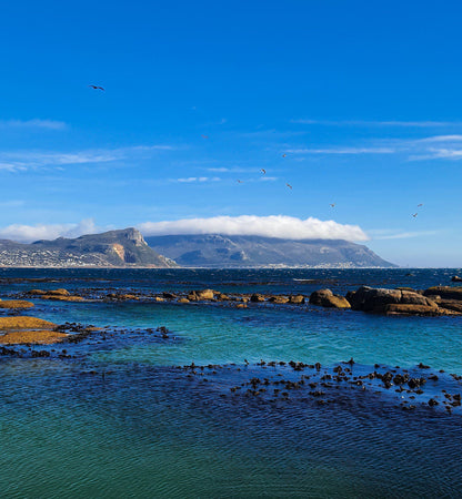 Seaforth Beach