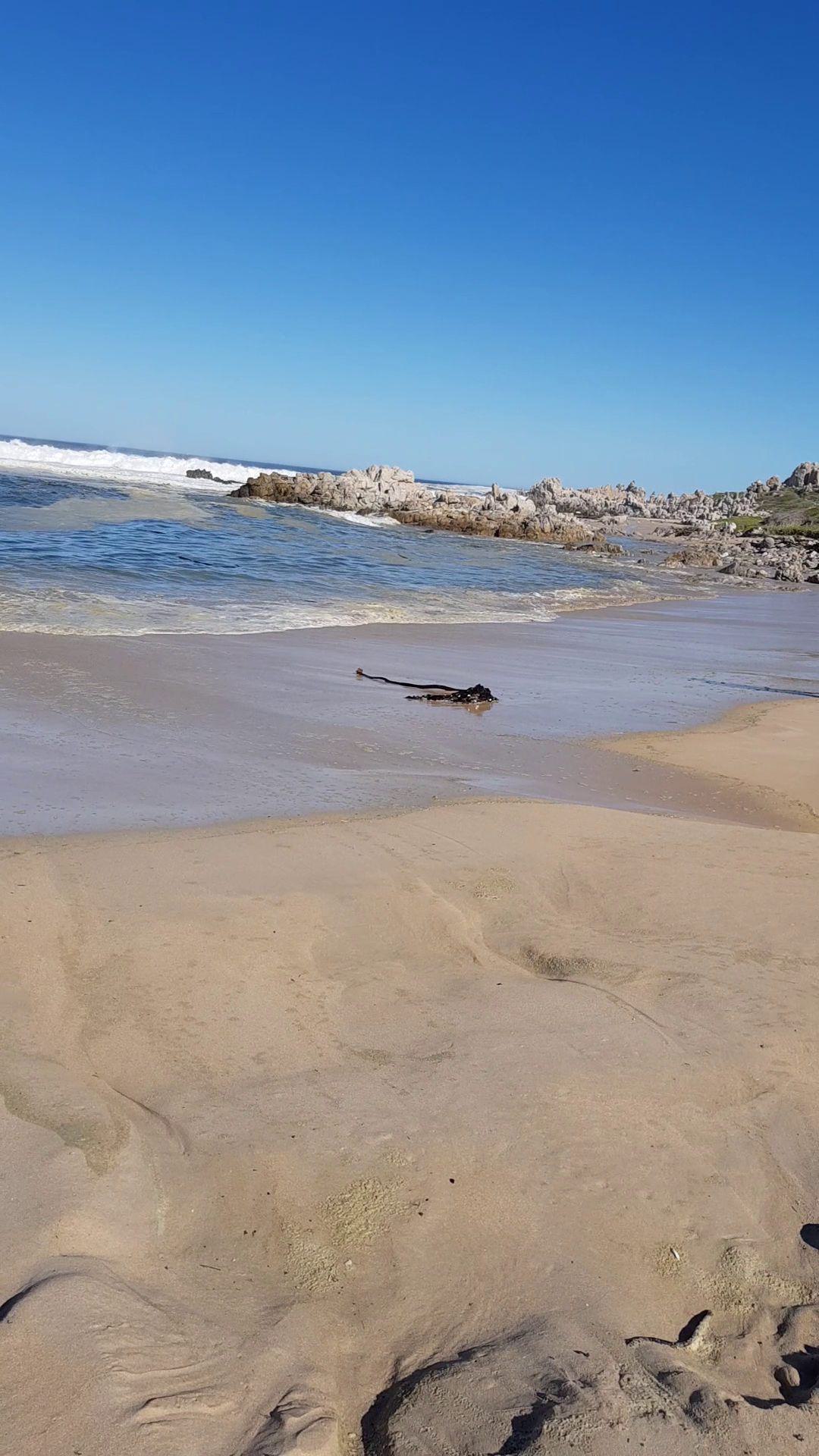 Kleinmond Beach