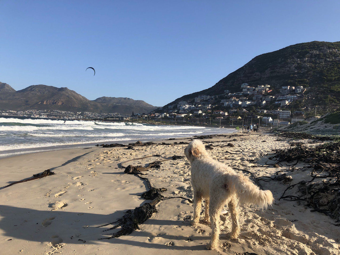 Glencairn Beach