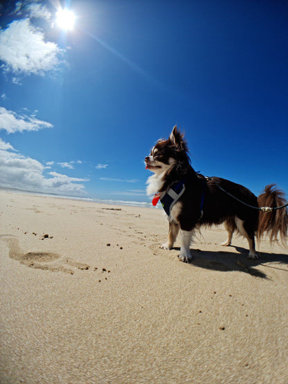 Lappiesbaai Public Beach