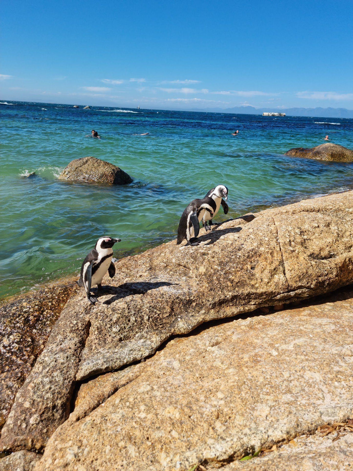 Seaforth Beach