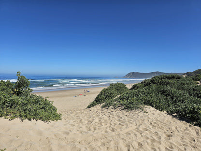 Swartvlei Beach