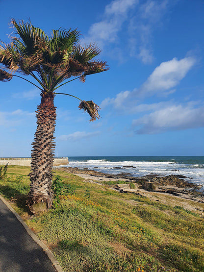 Three Anchor Bay Beach