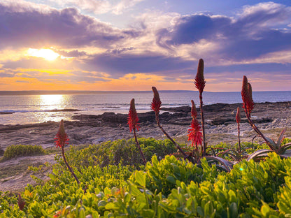 Lappiesbaai Public Beach