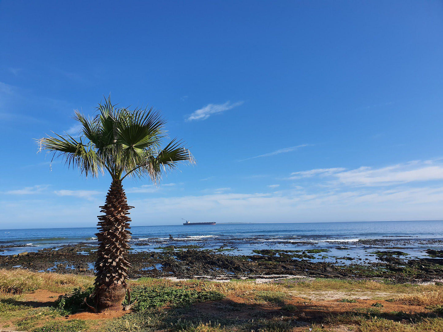 Mouille Point Beach