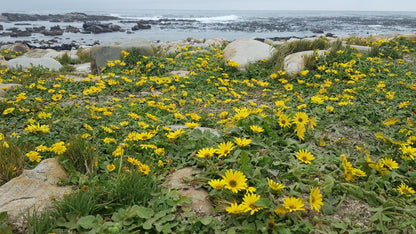 Maclear Beach