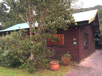 Nature S Valley Cottage Natures Valley Eastern Cape South Africa Building, Architecture, Cabin