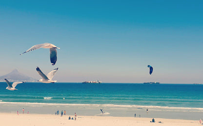 Bloubergstrand Beach