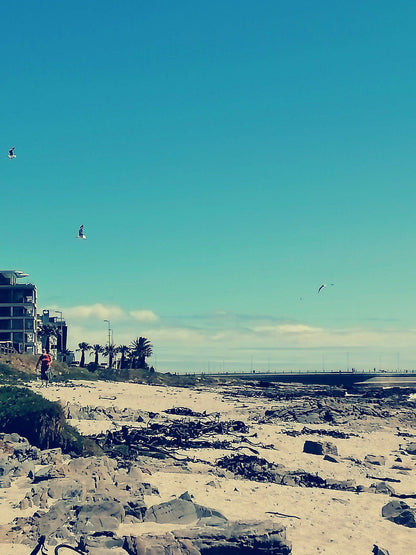 Mouille Point Beach