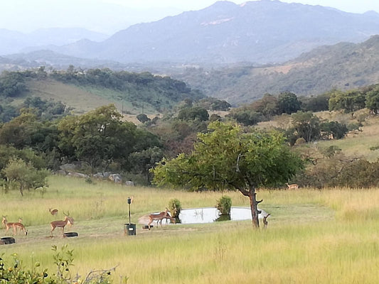 Nature Luxury Self Catering Cottages Renosterkop Nelspruit Mpumalanga South Africa Complementary Colors, Field, Nature, Agriculture, Meadow, Text, Highland