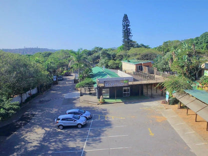 Natures Haven Lodge Bluff Eco Park Van Riebeeck Park Dbn Durban Kwazulu Natal South Africa Island, Nature, Palm Tree, Plant, Wood