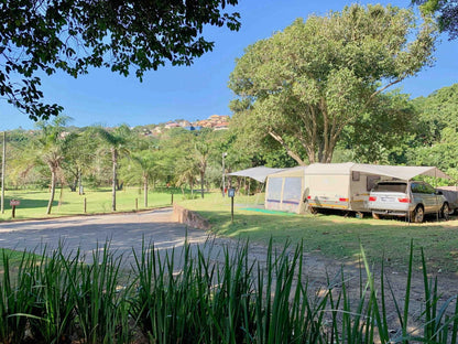 Natures Haven Lodge Bluff Eco Park Van Riebeeck Park Dbn Durban Kwazulu Natal South Africa Complementary Colors, Palm Tree, Plant, Nature, Wood