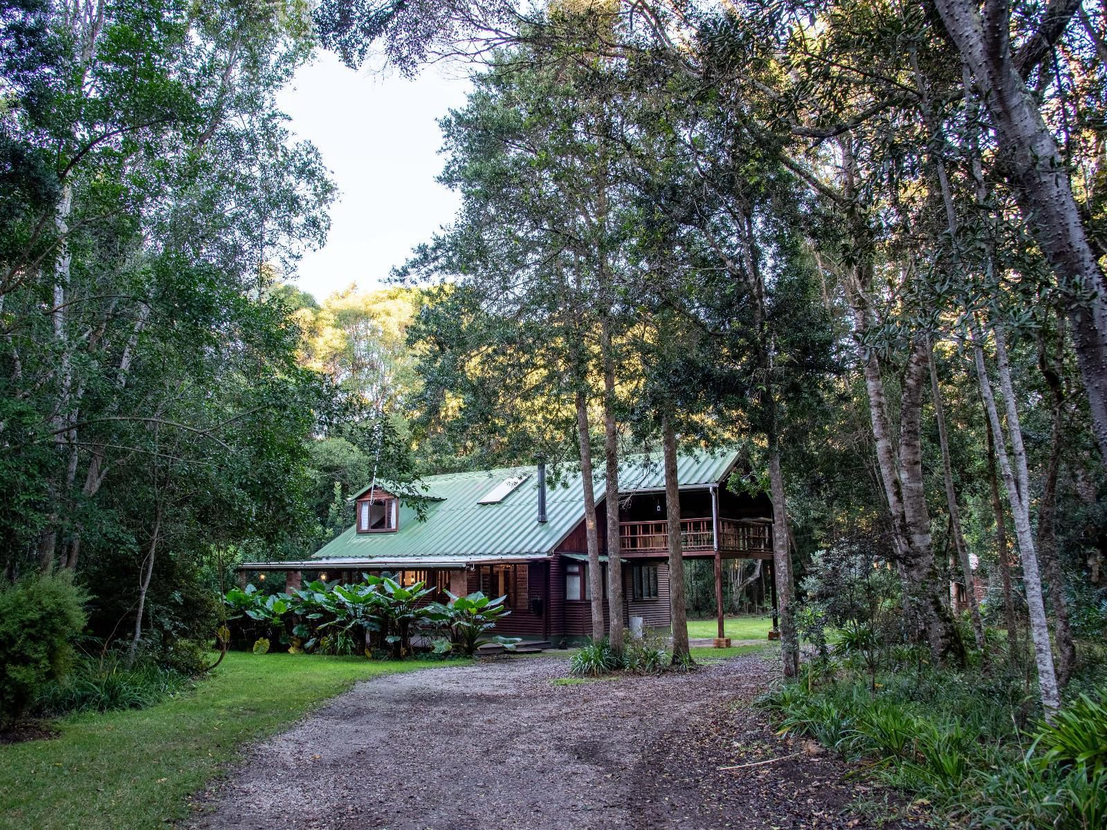 Natures Way The Crags Western Cape South Africa Cabin, Building, Architecture, Forest, Nature, Plant, Tree, Wood