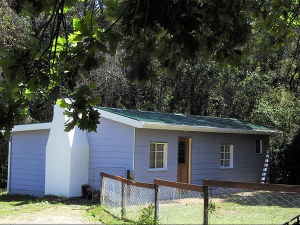 Natures Way The Crags Western Cape South Africa Building, Architecture, Cabin, Window