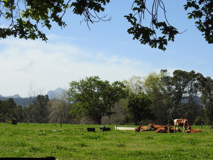 Bushbuck Cottage @ Natures Way