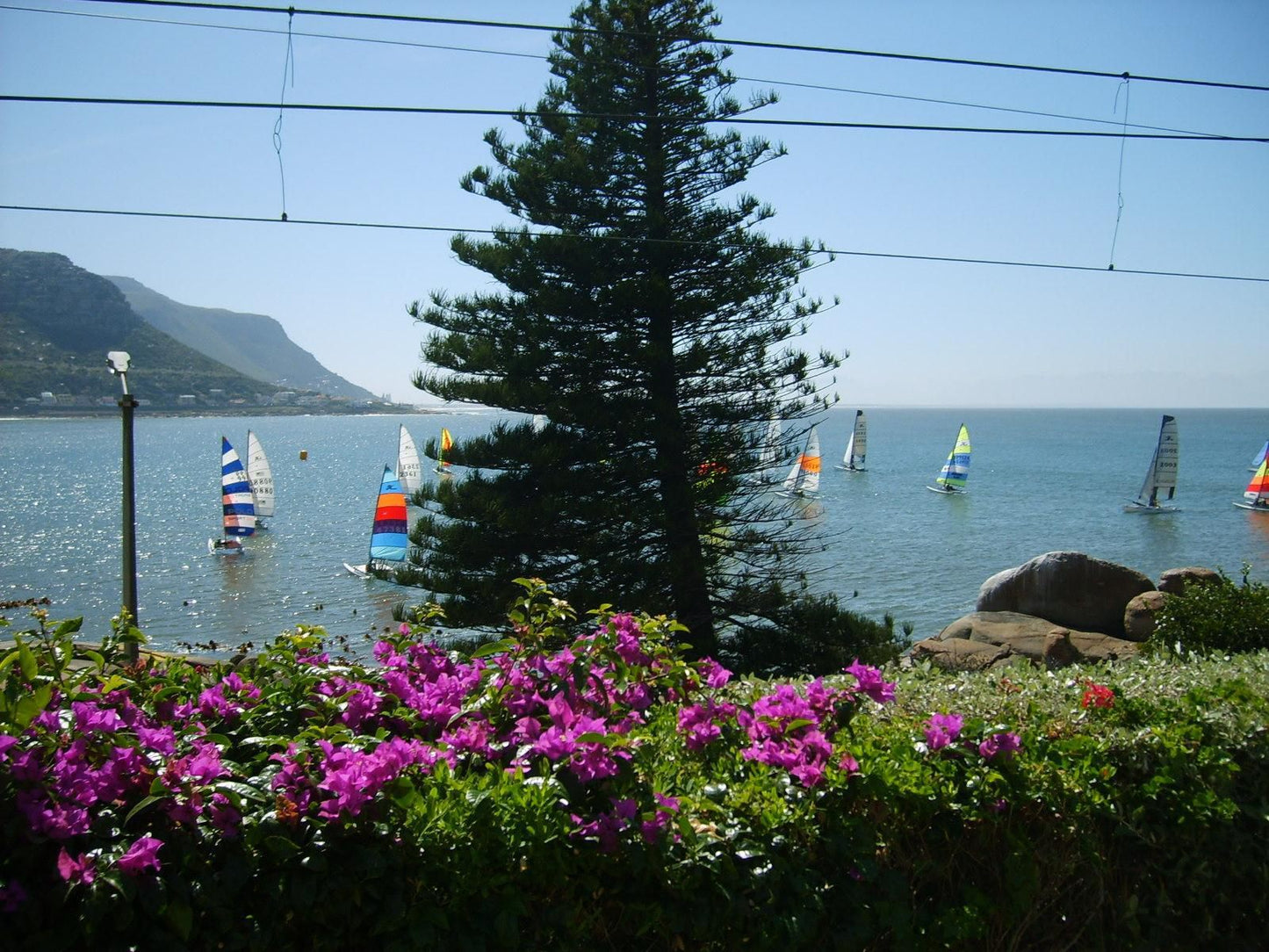 Paradise On The Bay Fish Hoek Cape Town Western Cape South Africa Beach, Nature, Sand