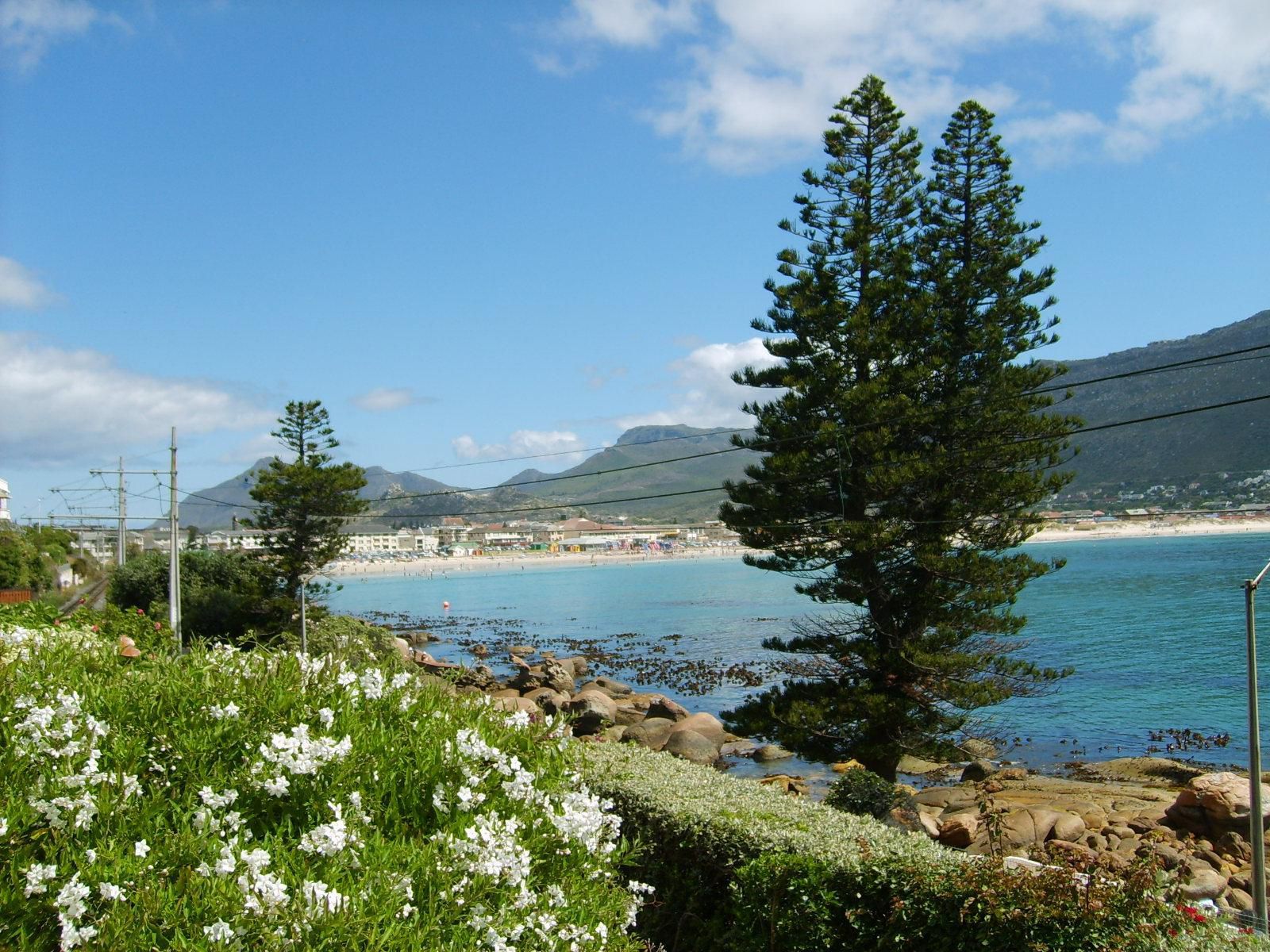 Paradise On The Bay Fish Hoek Cape Town Western Cape South Africa Complementary Colors, Beach, Nature, Sand, Plant