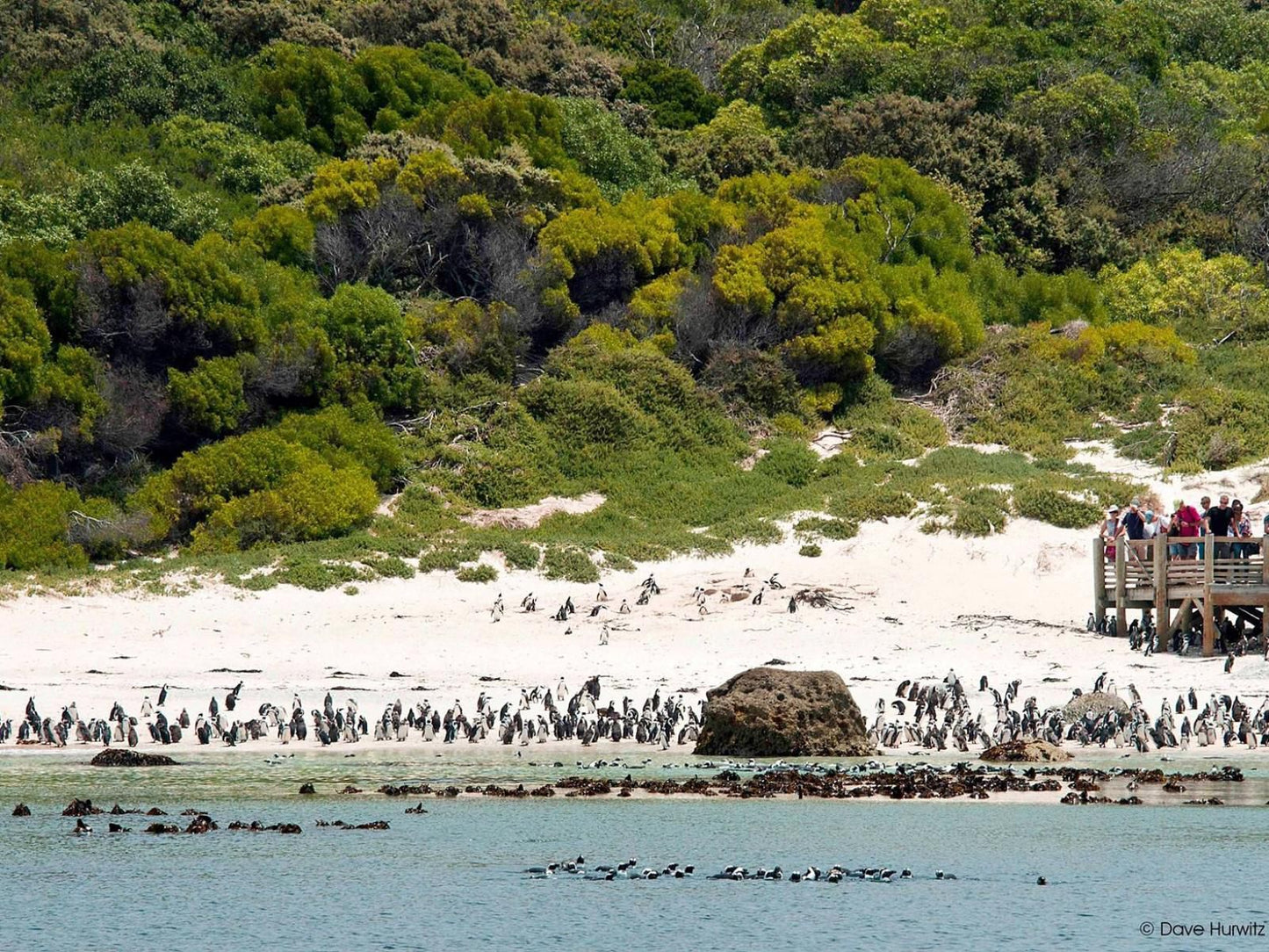 Paradise On The Bay Fish Hoek Cape Town Western Cape South Africa Beach, Nature, Sand