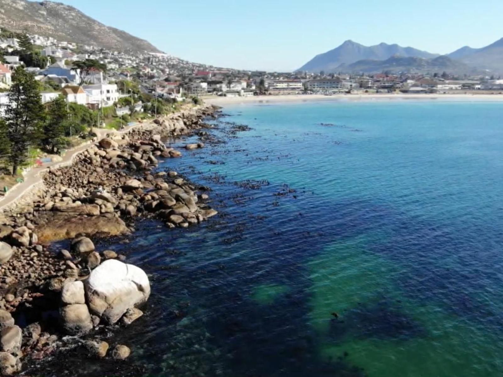 Paradise On The Bay Fish Hoek Cape Town Western Cape South Africa Beach, Nature, Sand, Palm Tree, Plant, Wood