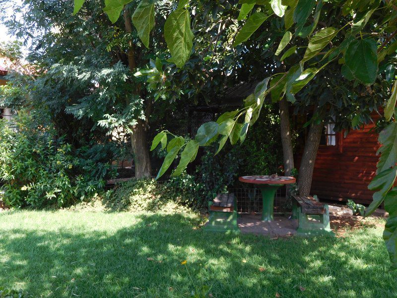 Navigatorz Backpackers Jhb Sunnyridge Johannesburg Gauteng South Africa Tree, Plant, Nature, Wood, Garden