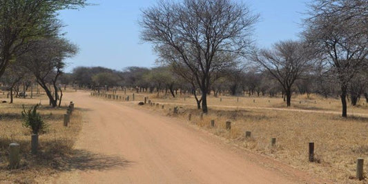 Ndegi Ranch Mokopane Potgietersrus Limpopo Province South Africa Desert, Nature, Sand, Lowland, Street