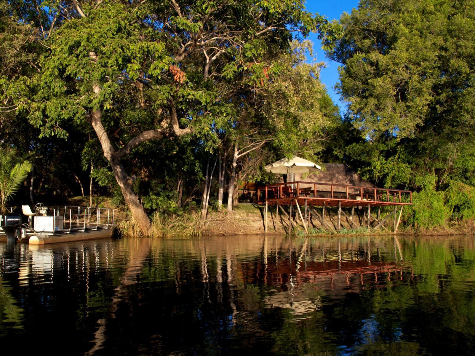 Ndhovu Safari Lodge, River, Nature, Waters, Tree, Plant, Wood